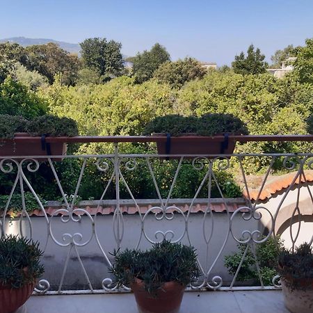 La Casa Di Rosa - Casa Vacanze Мета Екстер'єр фото