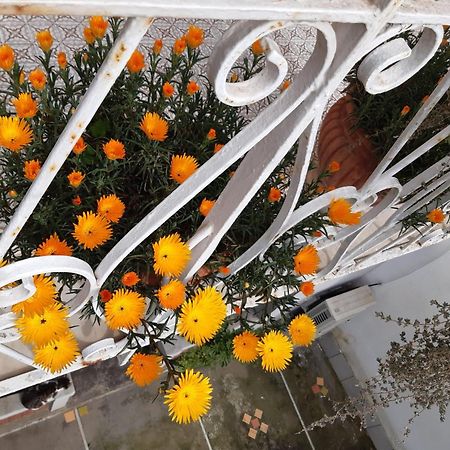 La Casa Di Rosa - Casa Vacanze Мета Екстер'єр фото
