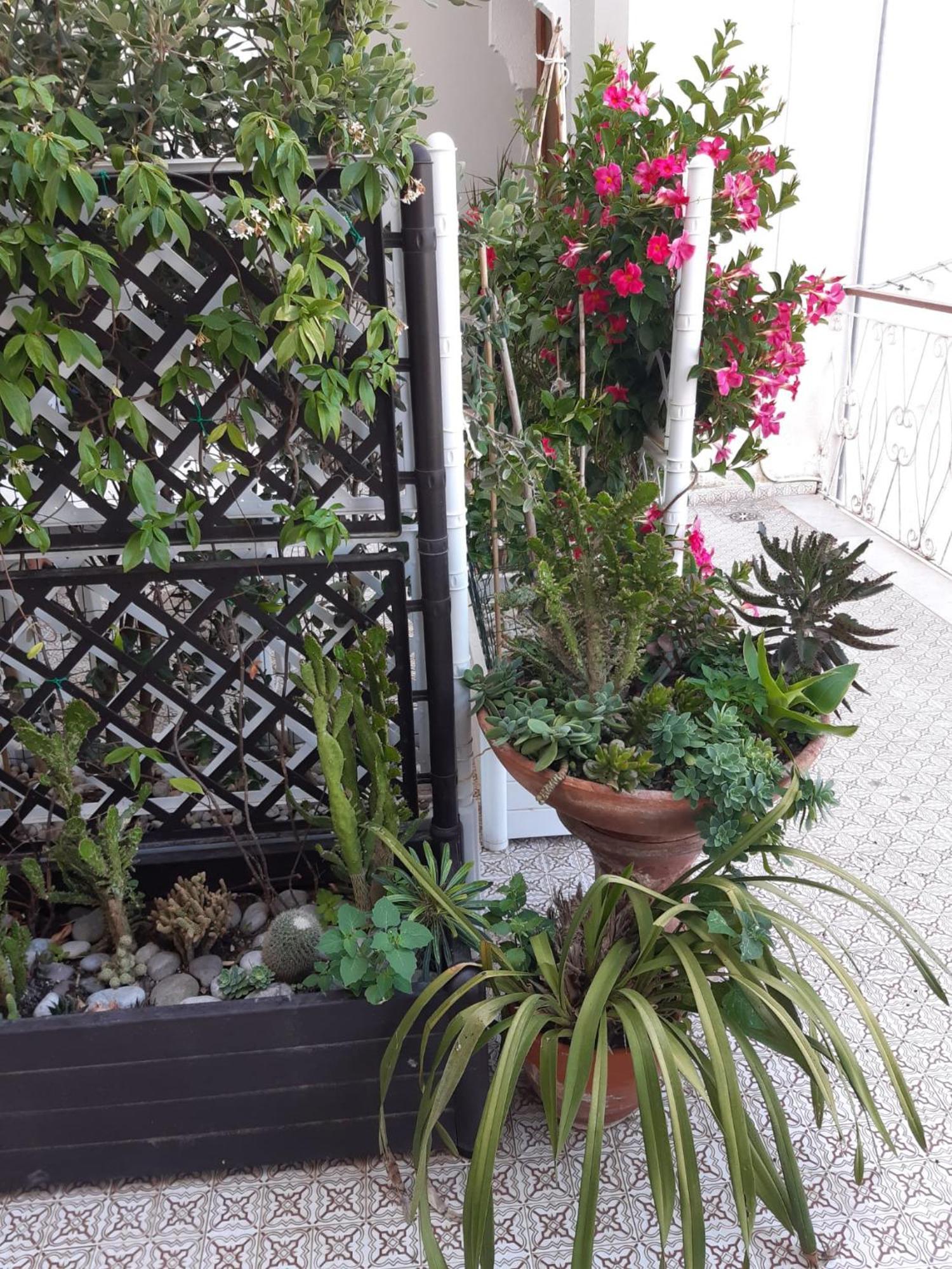 La Casa Di Rosa - Casa Vacanze Мета Екстер'єр фото